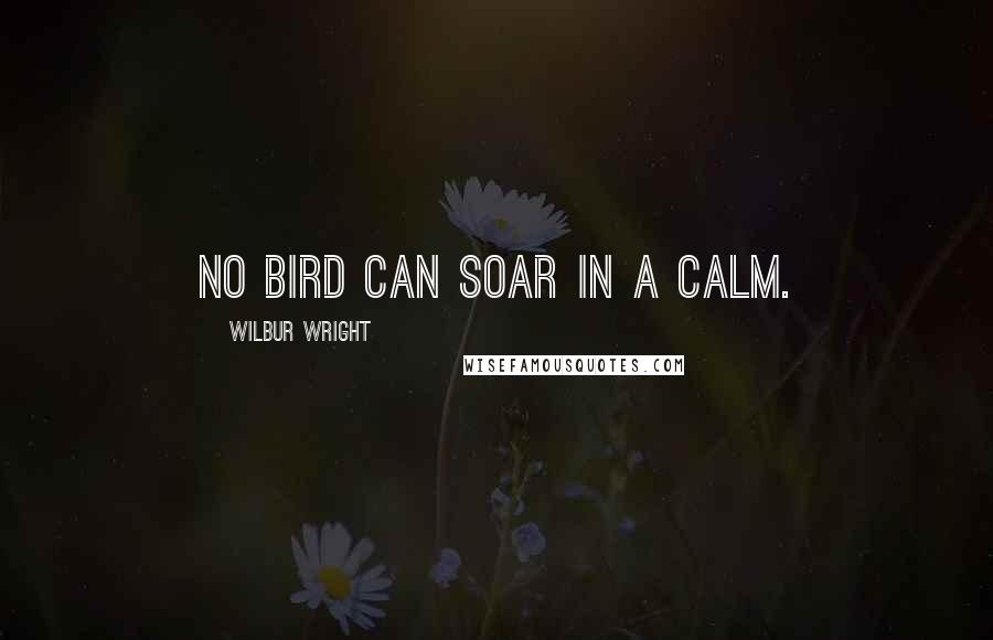 Wilbur Wright Quotes: No bird can soar in a calm.