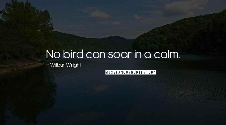 Wilbur Wright Quotes: No bird can soar in a calm.