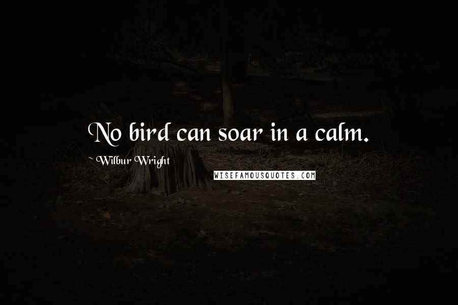 Wilbur Wright Quotes: No bird can soar in a calm.