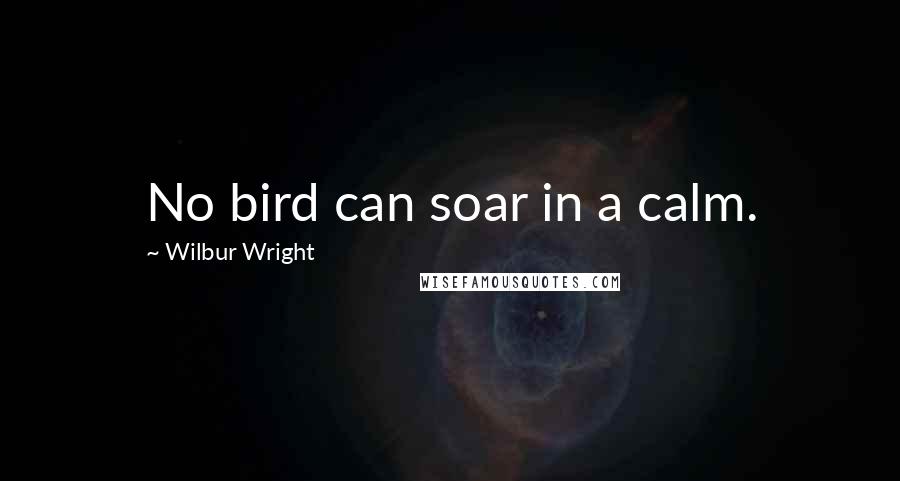 Wilbur Wright Quotes: No bird can soar in a calm.