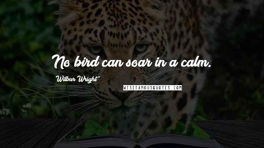 Wilbur Wright Quotes: No bird can soar in a calm.