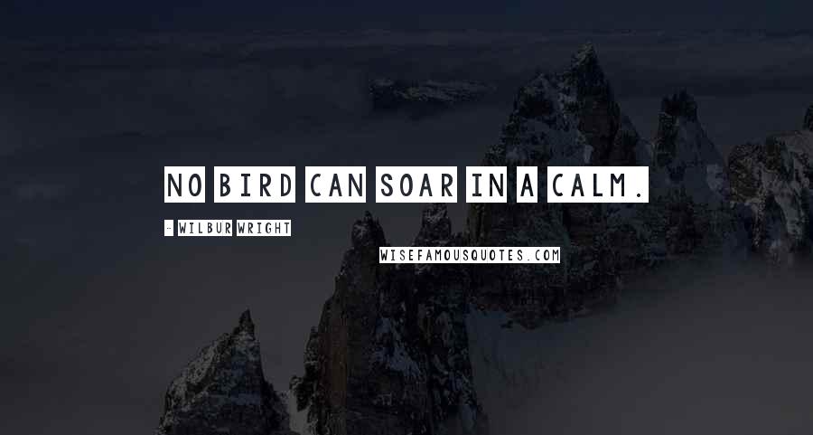 Wilbur Wright Quotes: No bird can soar in a calm.