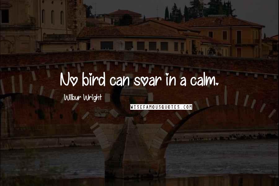 Wilbur Wright Quotes: No bird can soar in a calm.