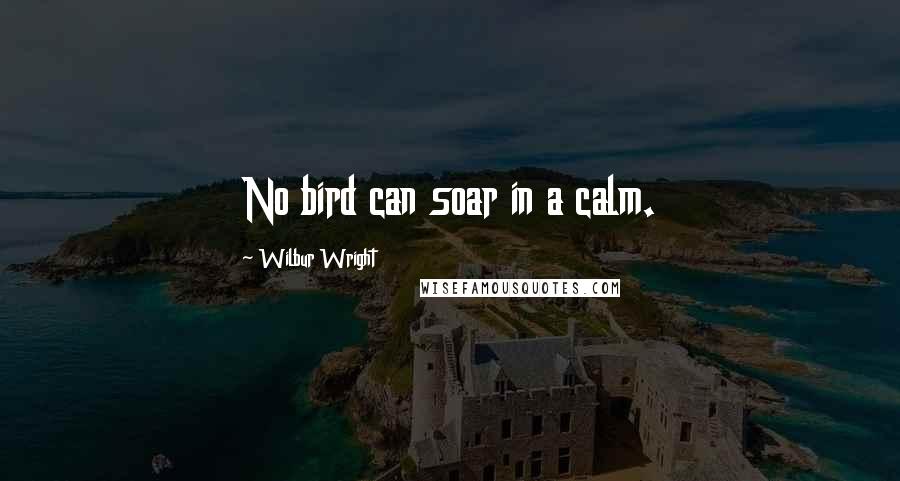 Wilbur Wright Quotes: No bird can soar in a calm.