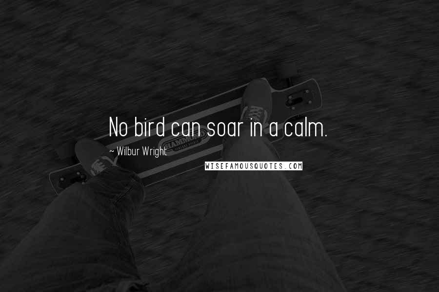 Wilbur Wright Quotes: No bird can soar in a calm.