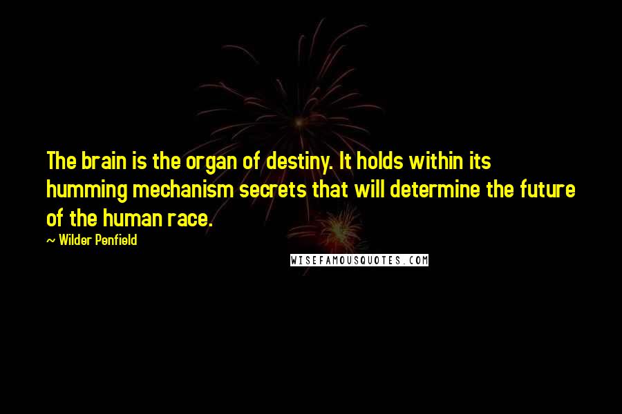 Wilder Penfield Quotes: The brain is the organ of destiny. It holds within its humming mechanism secrets that will determine the future of the human race.