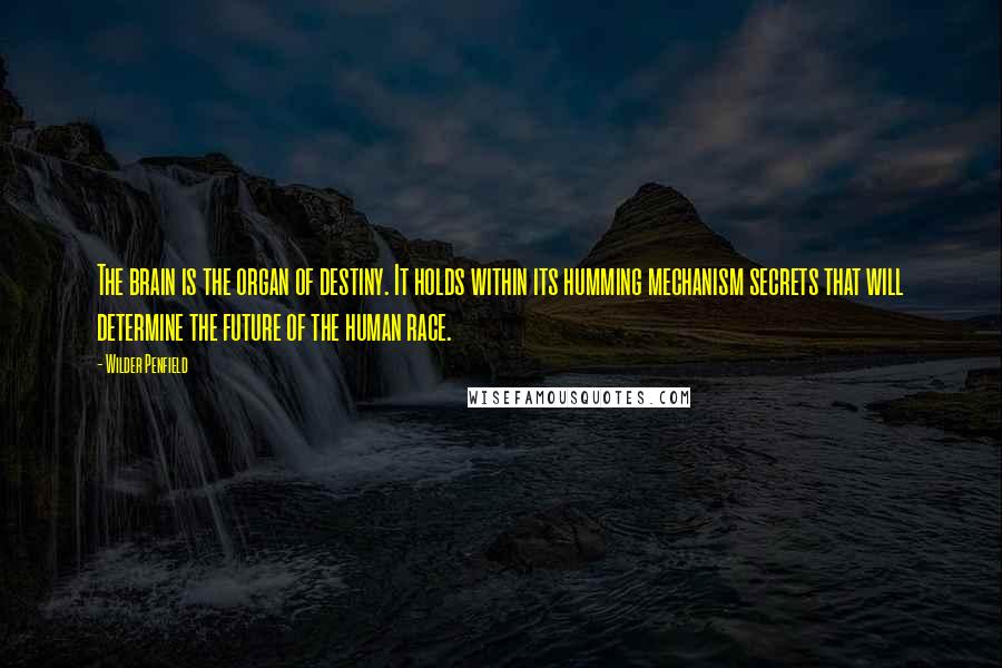 Wilder Penfield Quotes: The brain is the organ of destiny. It holds within its humming mechanism secrets that will determine the future of the human race.
