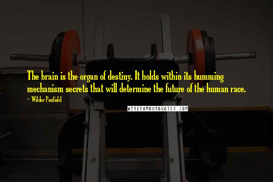 Wilder Penfield Quotes: The brain is the organ of destiny. It holds within its humming mechanism secrets that will determine the future of the human race.