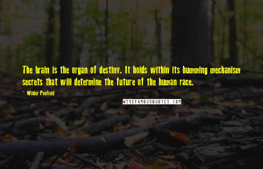 Wilder Penfield Quotes: The brain is the organ of destiny. It holds within its humming mechanism secrets that will determine the future of the human race.