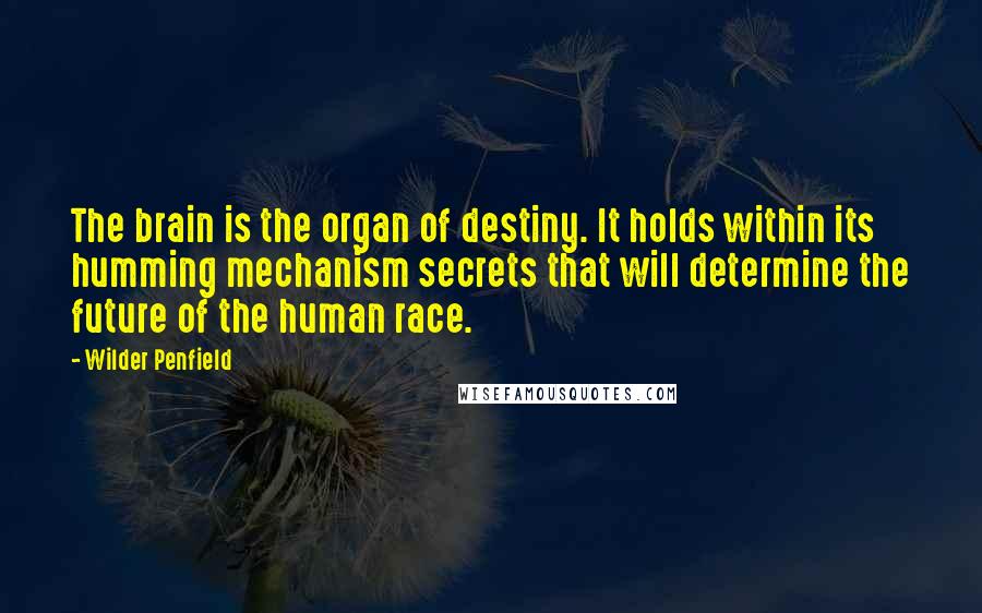 Wilder Penfield Quotes: The brain is the organ of destiny. It holds within its humming mechanism secrets that will determine the future of the human race.