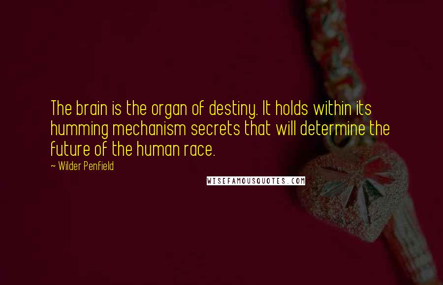 Wilder Penfield Quotes: The brain is the organ of destiny. It holds within its humming mechanism secrets that will determine the future of the human race.