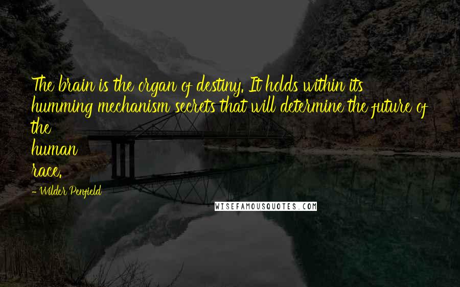 Wilder Penfield Quotes: The brain is the organ of destiny. It holds within its humming mechanism secrets that will determine the future of the human race.