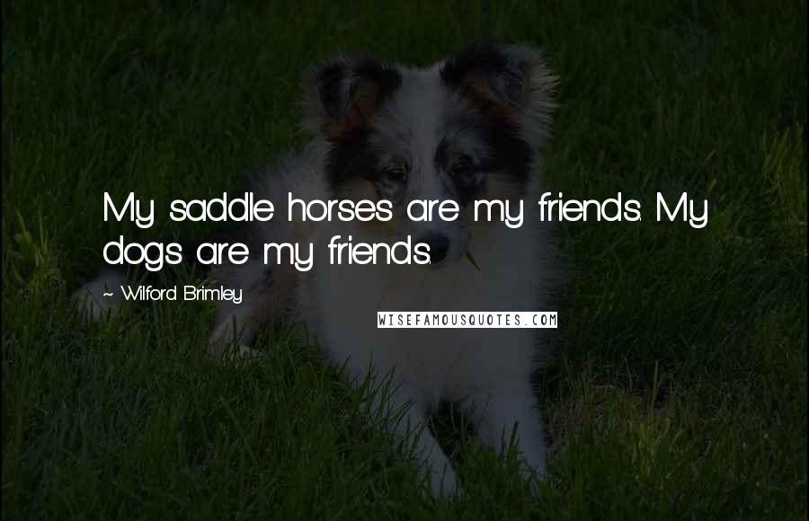 Wilford Brimley Quotes: My saddle horses are my friends. My dogs are my friends.