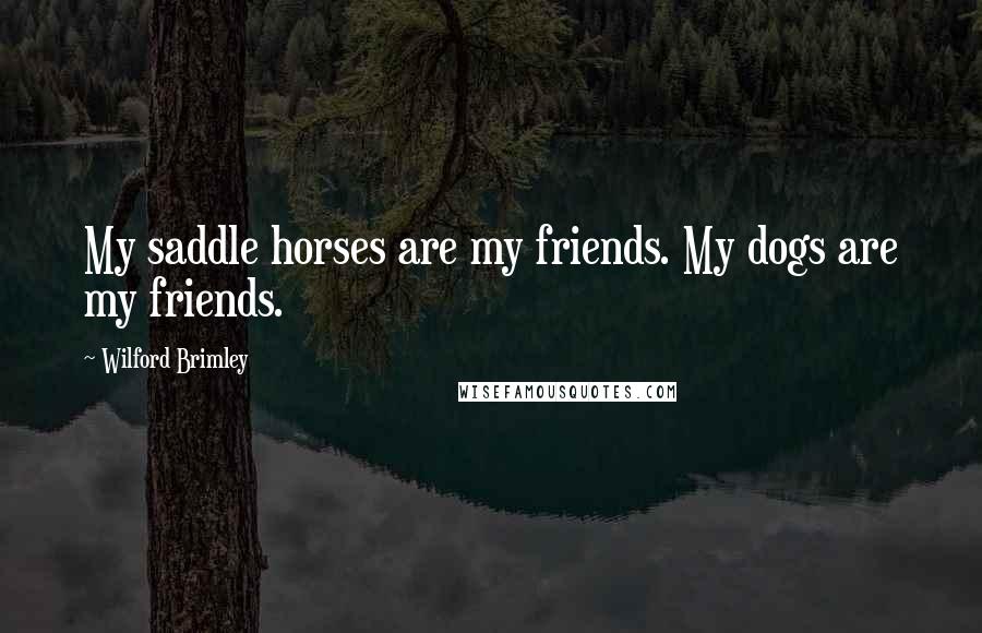 Wilford Brimley Quotes: My saddle horses are my friends. My dogs are my friends.