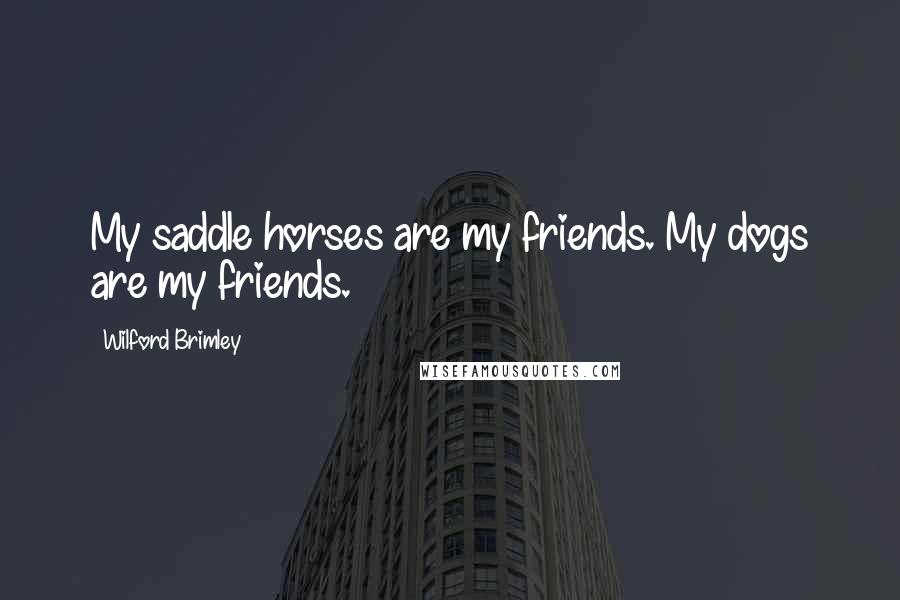 Wilford Brimley Quotes: My saddle horses are my friends. My dogs are my friends.