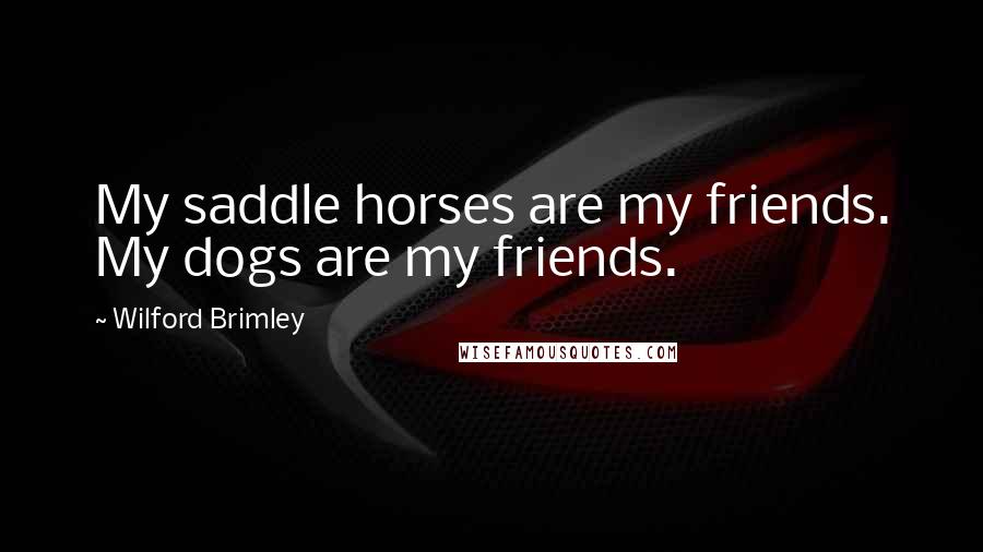 Wilford Brimley Quotes: My saddle horses are my friends. My dogs are my friends.