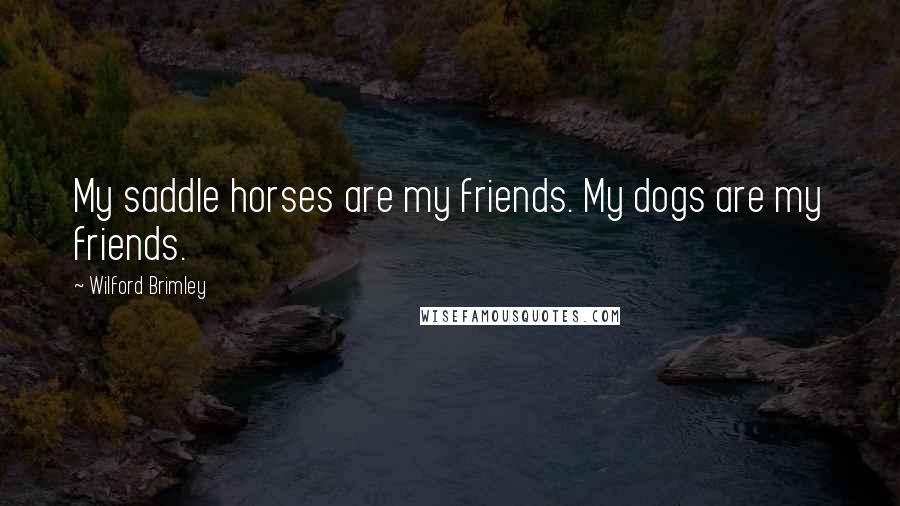 Wilford Brimley Quotes: My saddle horses are my friends. My dogs are my friends.