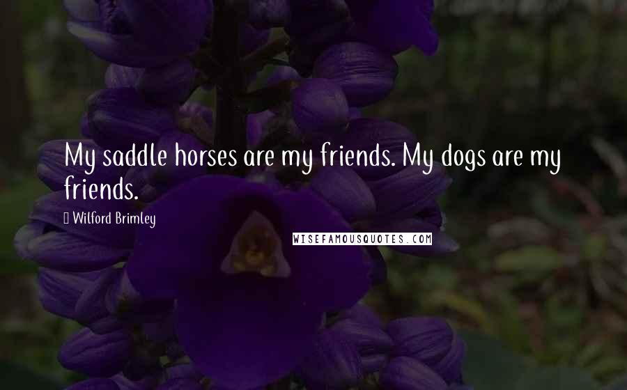 Wilford Brimley Quotes: My saddle horses are my friends. My dogs are my friends.