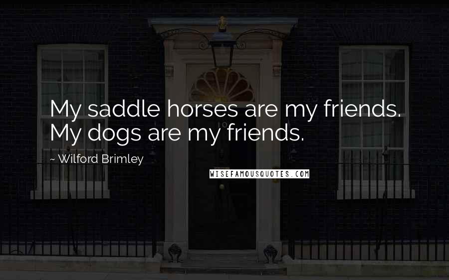 Wilford Brimley Quotes: My saddle horses are my friends. My dogs are my friends.