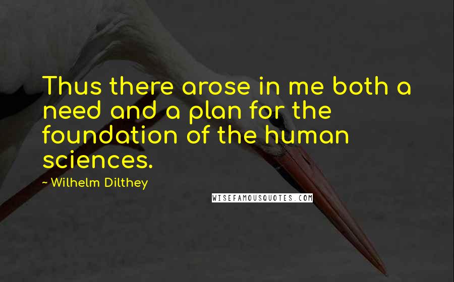 Wilhelm Dilthey Quotes: Thus there arose in me both a need and a plan for the foundation of the human sciences.