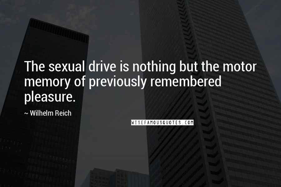 Wilhelm Reich Quotes: The sexual drive is nothing but the motor memory of previously remembered pleasure.