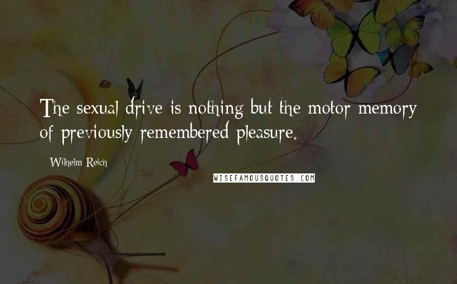 Wilhelm Reich Quotes: The sexual drive is nothing but the motor memory of previously remembered pleasure.