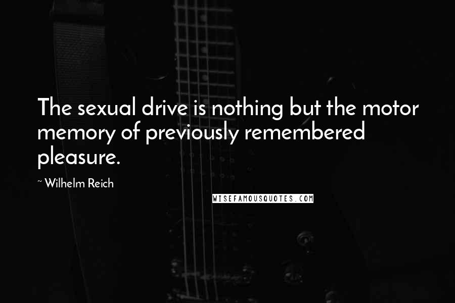 Wilhelm Reich Quotes: The sexual drive is nothing but the motor memory of previously remembered pleasure.