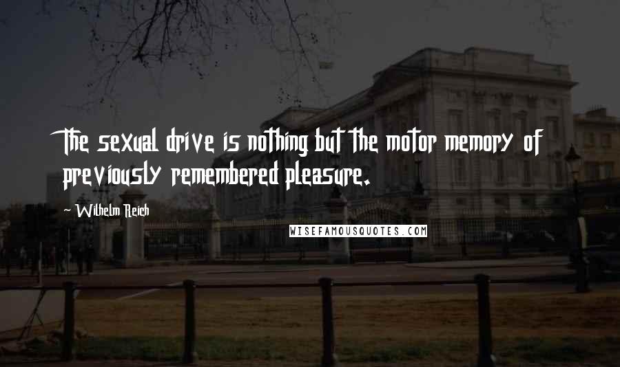 Wilhelm Reich Quotes: The sexual drive is nothing but the motor memory of previously remembered pleasure.