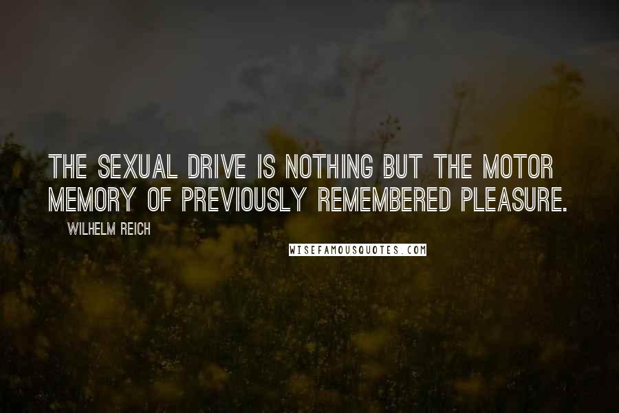 Wilhelm Reich Quotes: The sexual drive is nothing but the motor memory of previously remembered pleasure.