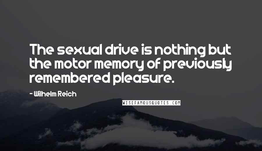 Wilhelm Reich Quotes: The sexual drive is nothing but the motor memory of previously remembered pleasure.