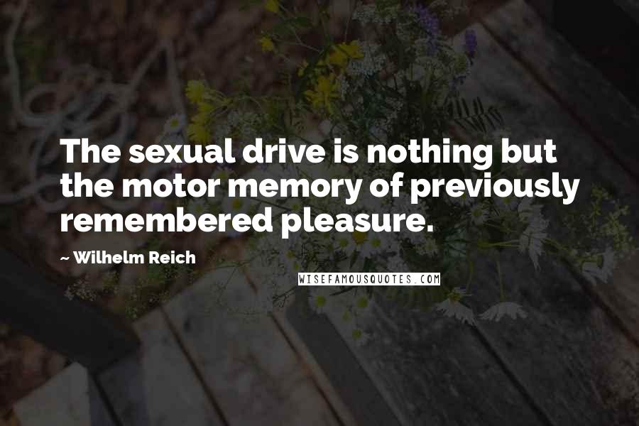 Wilhelm Reich Quotes: The sexual drive is nothing but the motor memory of previously remembered pleasure.