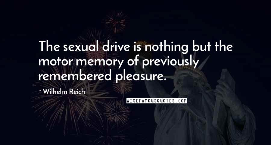 Wilhelm Reich Quotes: The sexual drive is nothing but the motor memory of previously remembered pleasure.