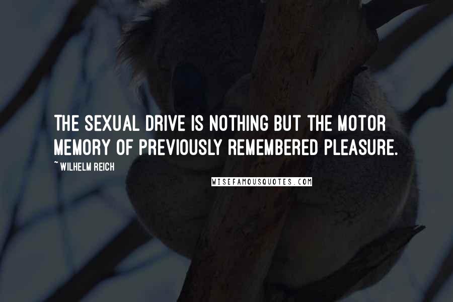 Wilhelm Reich Quotes: The sexual drive is nothing but the motor memory of previously remembered pleasure.