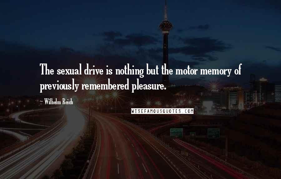 Wilhelm Reich Quotes: The sexual drive is nothing but the motor memory of previously remembered pleasure.
