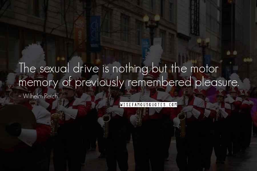 Wilhelm Reich Quotes: The sexual drive is nothing but the motor memory of previously remembered pleasure.