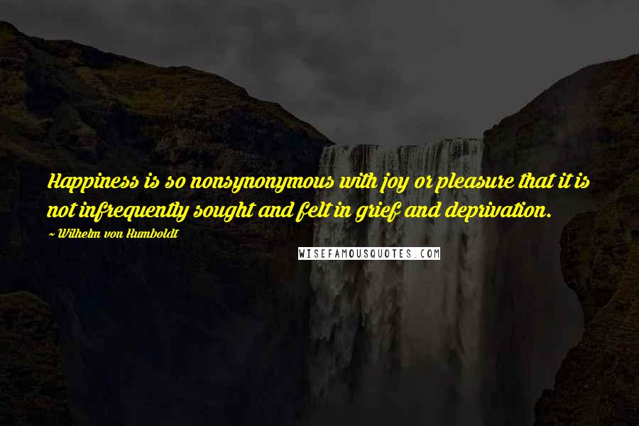 Wilhelm Von Humboldt Quotes: Happiness is so nonsynonymous with joy or pleasure that it is not infrequently sought and felt in grief and deprivation.