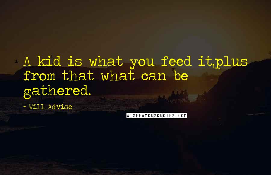 Will Advise Quotes: A kid is what you feed it,plus from that what can be gathered.