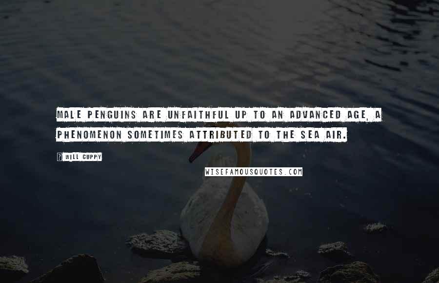 Will Cuppy Quotes: Male penguins are unfaithful up to an advanced age, a phenomenon sometimes attributed to the sea air.