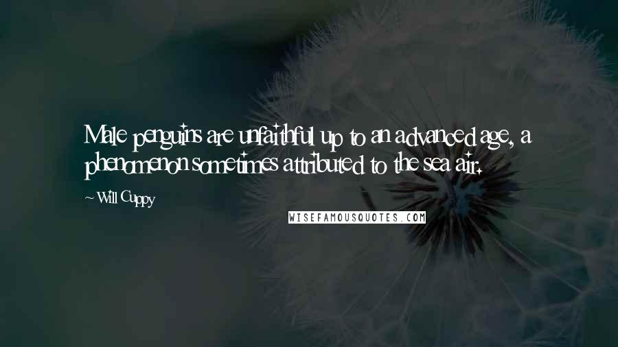 Will Cuppy Quotes: Male penguins are unfaithful up to an advanced age, a phenomenon sometimes attributed to the sea air.