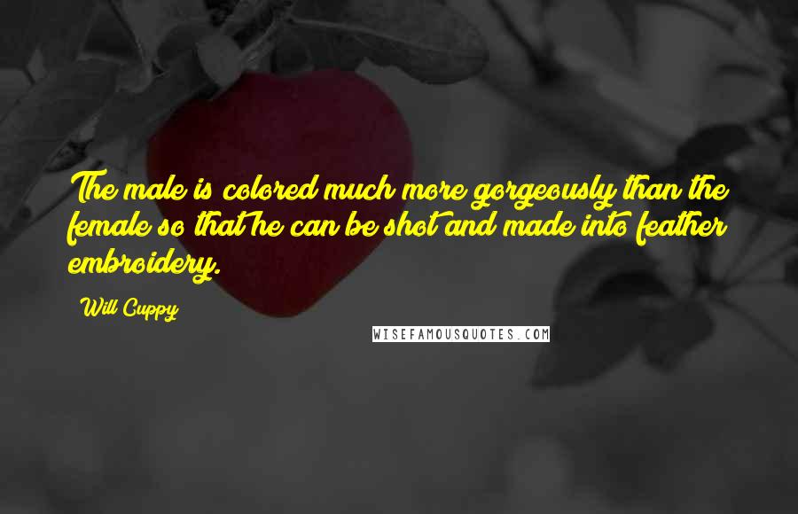 Will Cuppy Quotes: The male is colored much more gorgeously than the female so that he can be shot and made into feather embroidery.