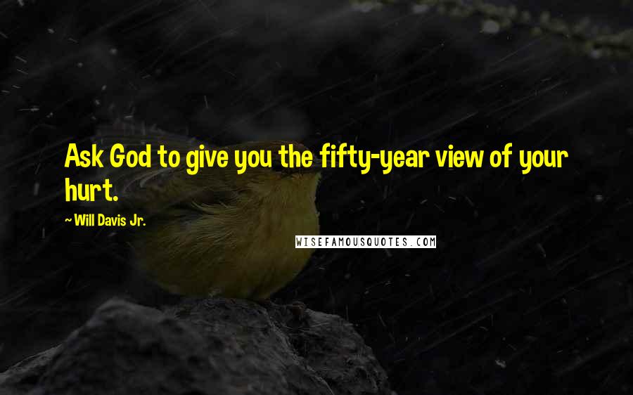 Will Davis Jr. Quotes: Ask God to give you the fifty-year view of your hurt.