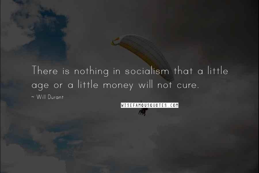 Will Durant Quotes: There is nothing in socialism that a little age or a little money will not cure.