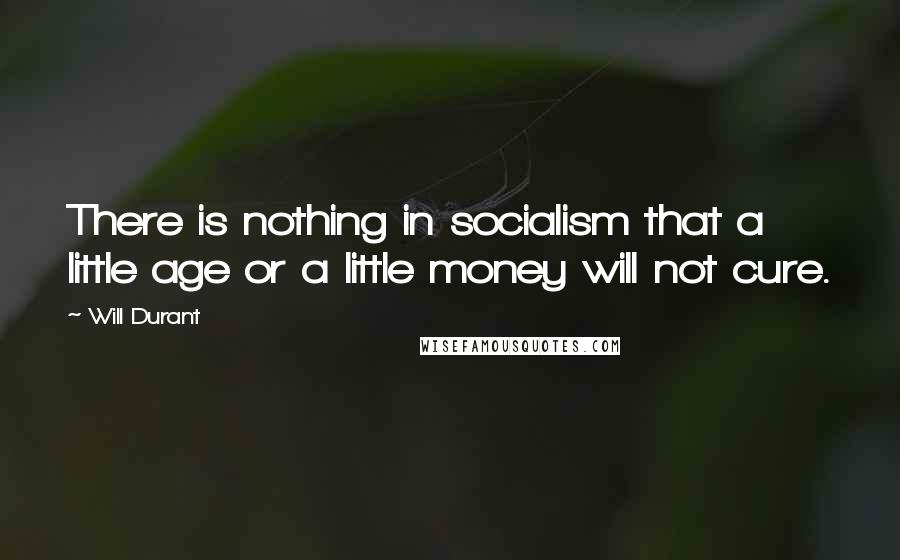 Will Durant Quotes: There is nothing in socialism that a little age or a little money will not cure.