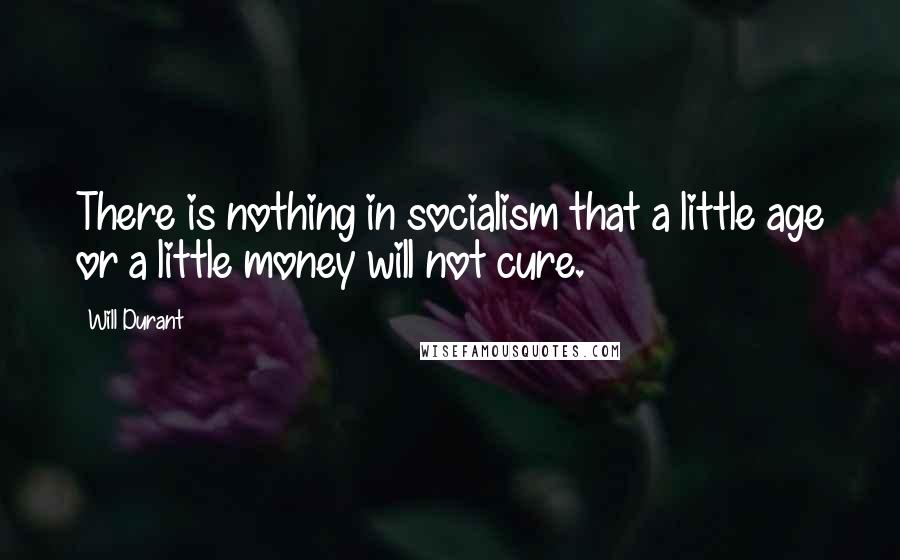 Will Durant Quotes: There is nothing in socialism that a little age or a little money will not cure.