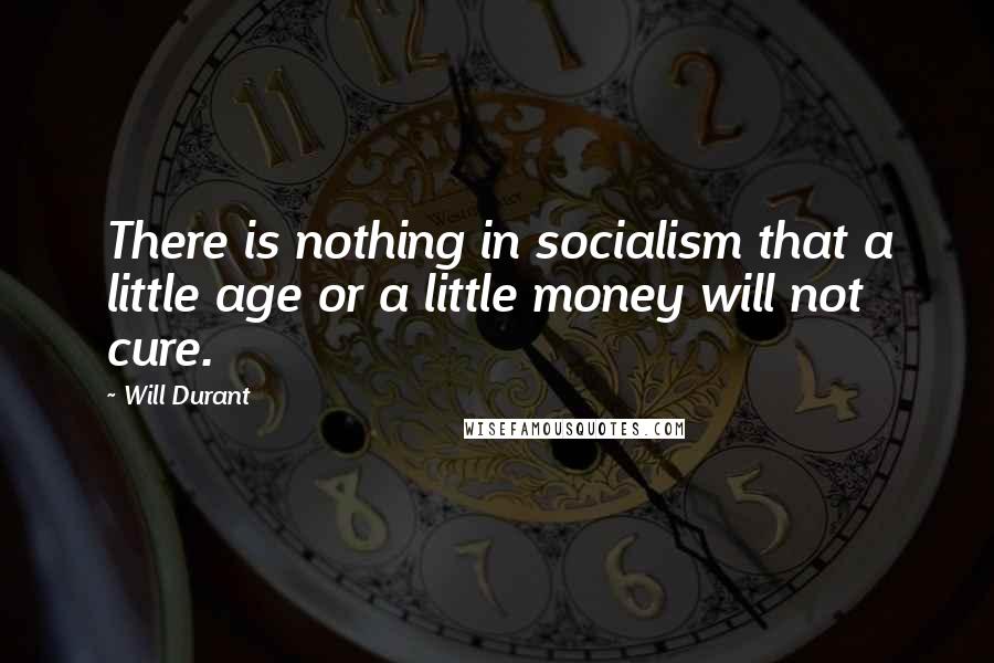 Will Durant Quotes: There is nothing in socialism that a little age or a little money will not cure.