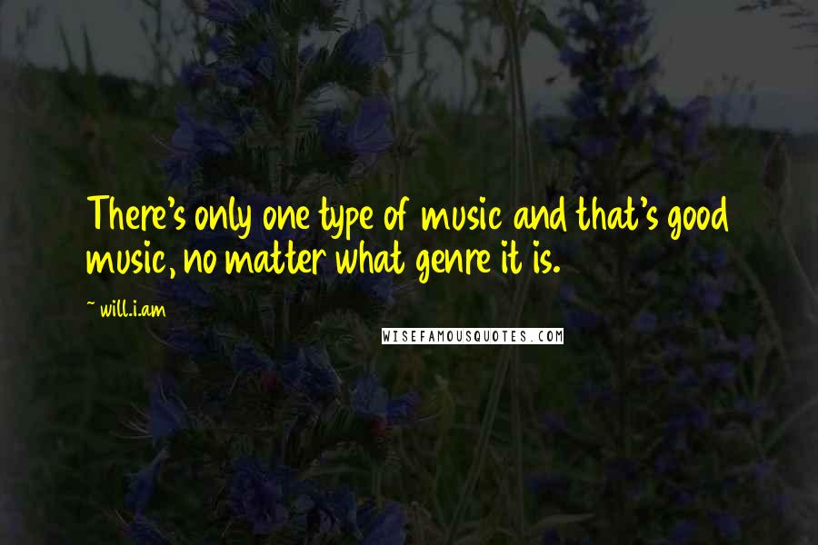 Will.i.am Quotes: There's only one type of music and that's good music, no matter what genre it is.