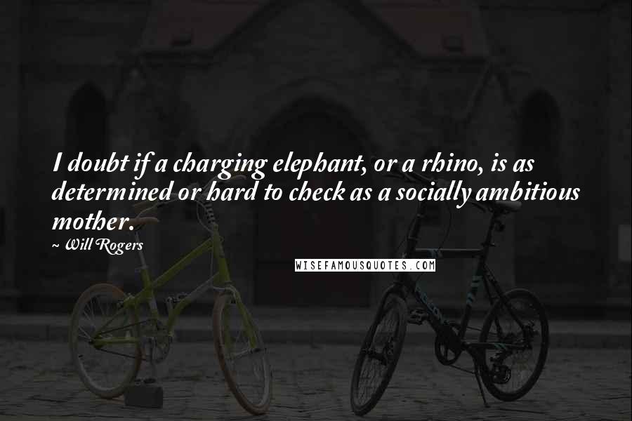 Will Rogers Quotes: I doubt if a charging elephant, or a rhino, is as determined or hard to check as a socially ambitious mother.