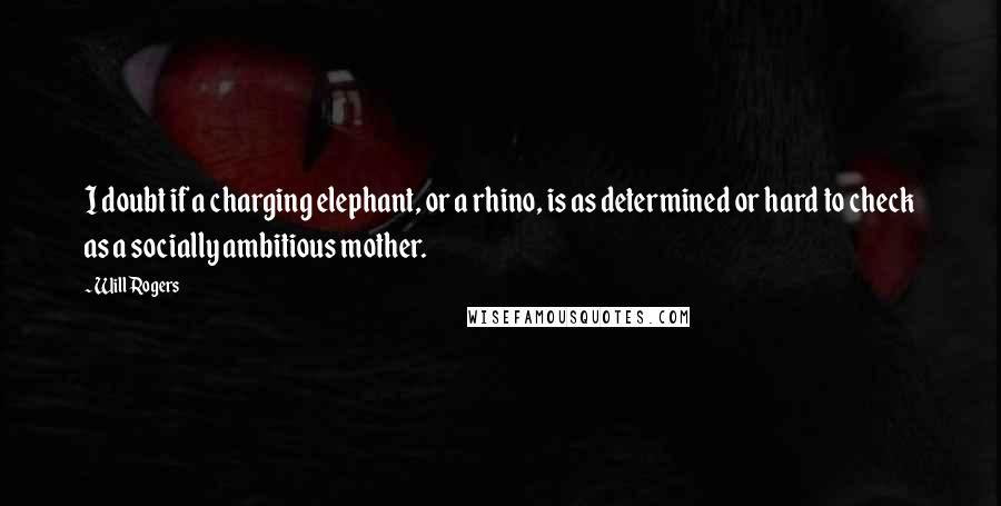 Will Rogers Quotes: I doubt if a charging elephant, or a rhino, is as determined or hard to check as a socially ambitious mother.