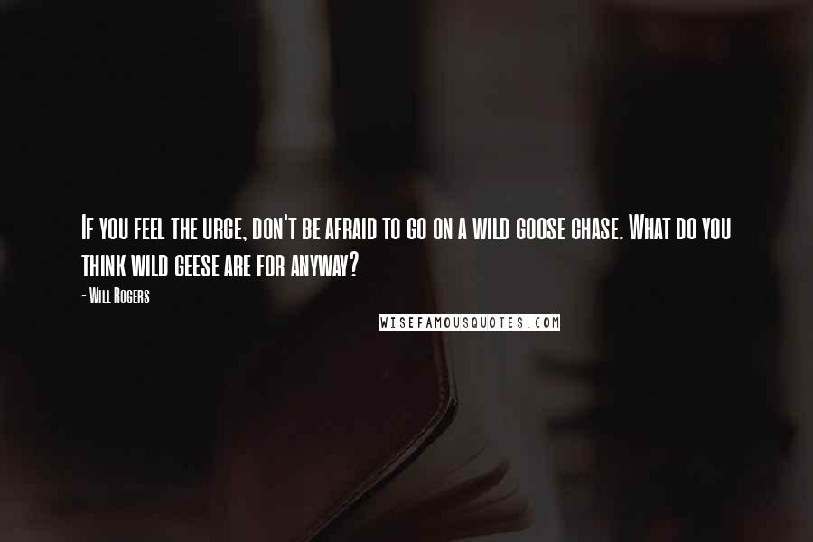 Will Rogers Quotes: If you feel the urge, don't be afraid to go on a wild goose chase. What do you think wild geese are for anyway?