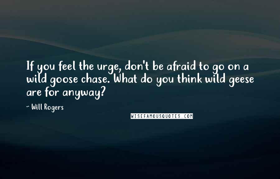 Will Rogers Quotes: If you feel the urge, don't be afraid to go on a wild goose chase. What do you think wild geese are for anyway?